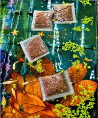 Green Life Org sachet flottant dans aquarium, aspect naturel et apaisant pour poissons