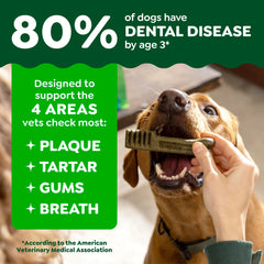 Greenies démonstration sur dentition illustrant action près de la gencive