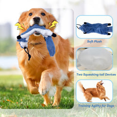 GRETMIX peluche couineuse pour excitation et stimulation du chien