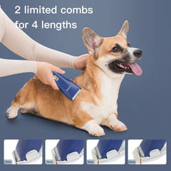 Grimgrow tondeuse en usage sur chien à poils épais coupe sans tirer