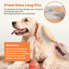 GROOMAGE gros plan des picots de 27 mm pour enlever poils morts en profondeur