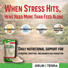 GrubTerra poudre HenHarmony gros plan sur texture fine facile à dissoudre