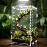 GTSEEMUU vue avant du terrarium acrylique offrant visibilité complète
