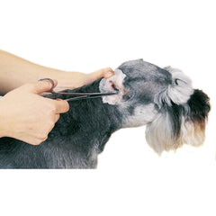Guardian Gear ProEar poudre blanche texture proche facilitant absorption et entretien