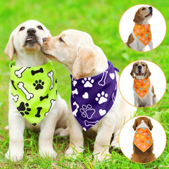 Guiqulai bandana porté sur chien moyen, montre l’allure tendance et confortable