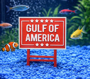 Gulf of America MAGA panneau face montrant le design politique et un accent visuel
