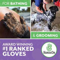 H HANDSON gant utilisé sur chien pour un brossage efficace