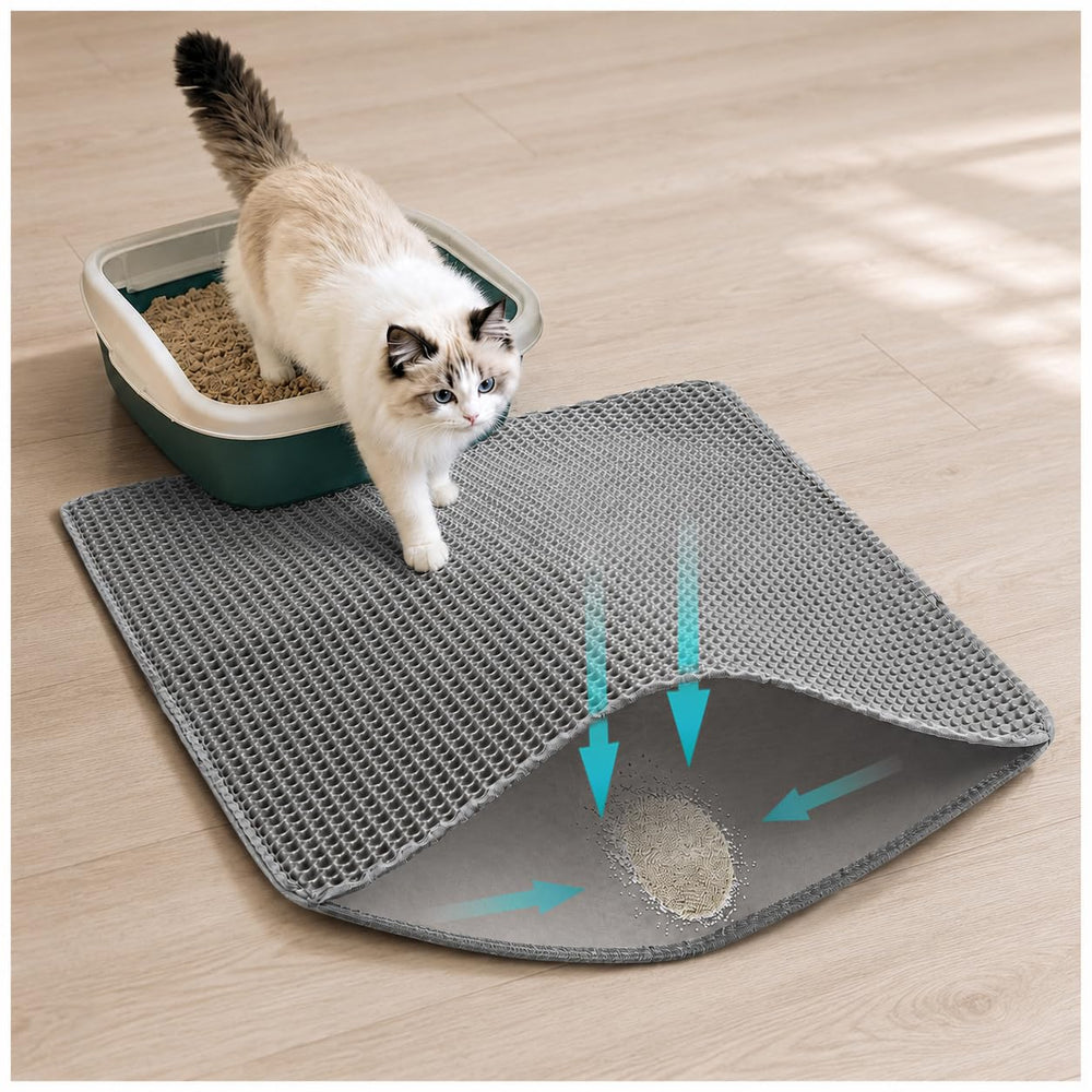 Hagzojler tapis face avant montrant protection du sol
