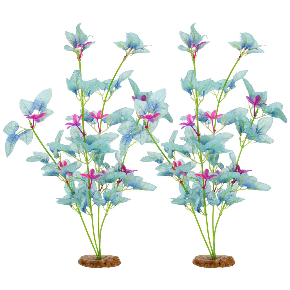 HaiFafafaing face avant de la plante cyan montrant design et dimensions utiles