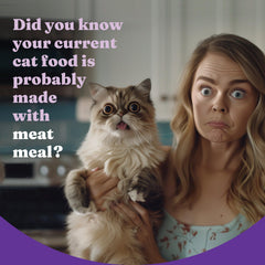Halo bol rempli illustrant portion quotidienne et maintien énergétique