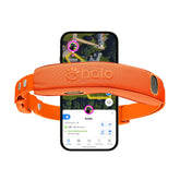 Halo collier face avant montrant design et fermeture sécurisée pour confort