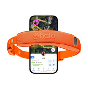 Halo collier face avant montrant design et fermeture sécurisée pour confort