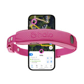 Halo Collar 5 face avant montrant le boîtier et la couleur orchid, sécurité améliorée