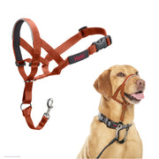 Halti headcollar face avant taille 3 burnt orange montrant maintien sûr