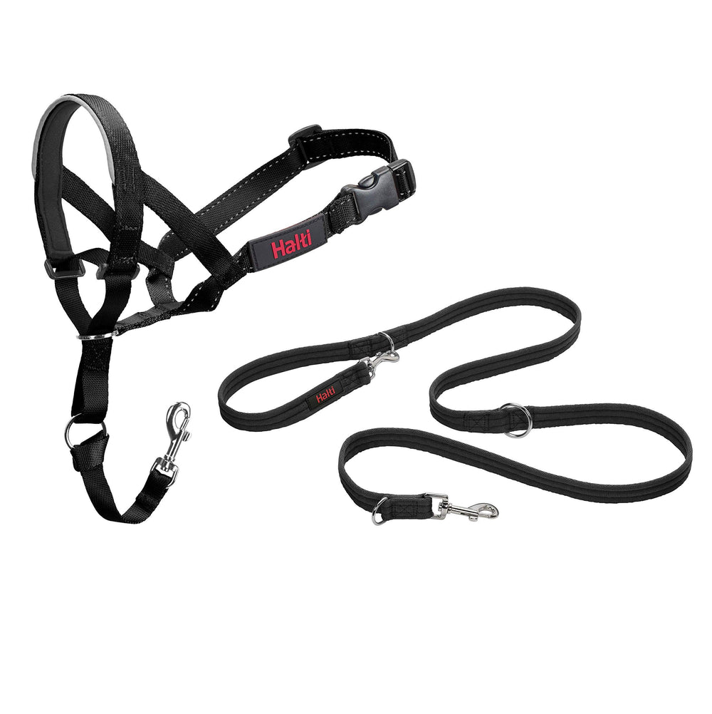 Halti headcollar face avant montrant maintien sûr et contrôle