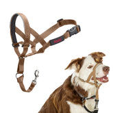 Halti headcollar face Desert Sand montrant maintien et contrôle apaisant