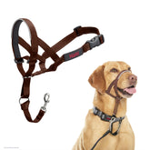 Halti headcollar face avant en deep walnut montrant ajustement et confort