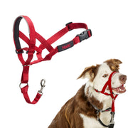 Halti headcollar taille 2 rouge vue face pour meilleur contrôle en promenade