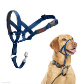 Halti headcollar taille 3 face du produit montrant le design et le confort