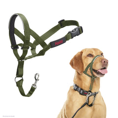 Halti headcollar taille 3 vert forêt vue avant montrant maintien sûr