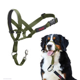 Halti headcollar taille 4 emballage avant montrant le produit et informations