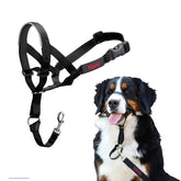 Halti Headcollar taille 4 vue face montrant l'ajustement et confort pour promenade