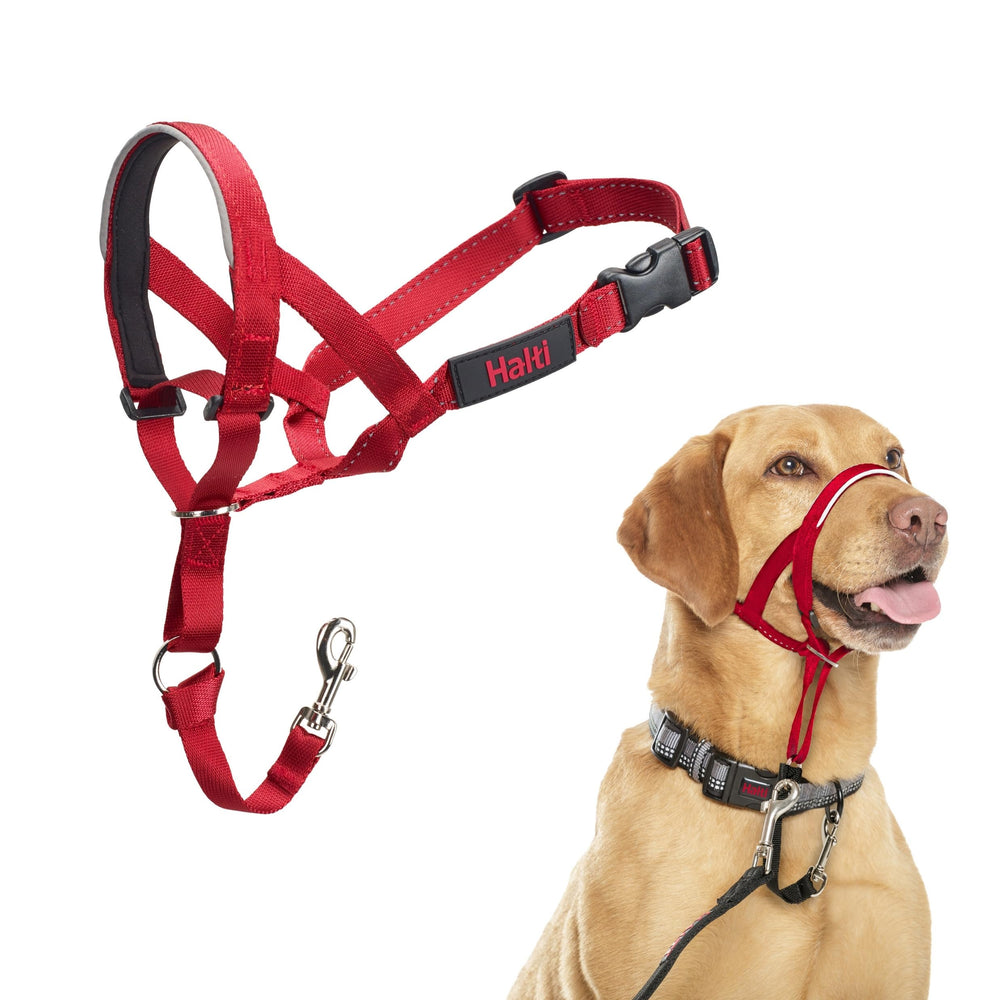 Halti headcollar taille 3 rouge face avant montrant le réglage et la solidité
