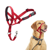 Halti headcollar taille 3 rouge face avant montrant le réglage et la solidité