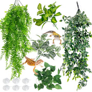 Hamiledyi vue avant de l'ensemble pour terrarium apportant cachettes sûres