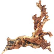 Hamiledyi bois flotté face avant montrant forme naturelle et attraction visuelle