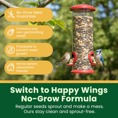 Happy Wings gros plan des graines montrant qualité et attractivité