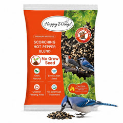 Happy Wings gros plan des graines montrant texture riche et nutrition