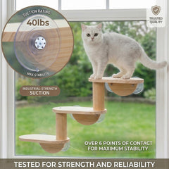 HAPYKITYS chat utilisant l'échelle confort et stimulation visuelle