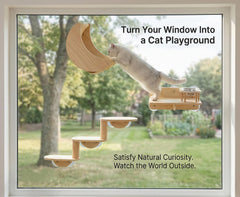 HAPYKITYS gros plan pin massif montrant texture durable et esthétique
