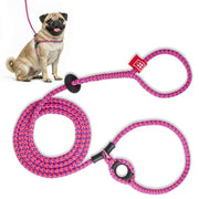 Harness Lead vue avant du set montrant harnais et laisse, confort instantané