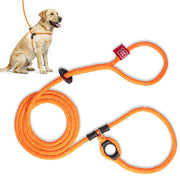 Harness Lead avant de l'ensemble harnais et laisse montrant sécurité accrue