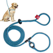 Harness Lead face avant du harnais et de la laisse montrant le design sécurisant