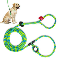 Harness Lead face avant du harnais et de la laisse, maintien sécurisé