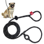 Harness Lead vue avant du harnais et laisse montrant l’ajustement sûr