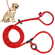 Harness Lead vue avant du harnais montrant l'ajustement sûr et confortable