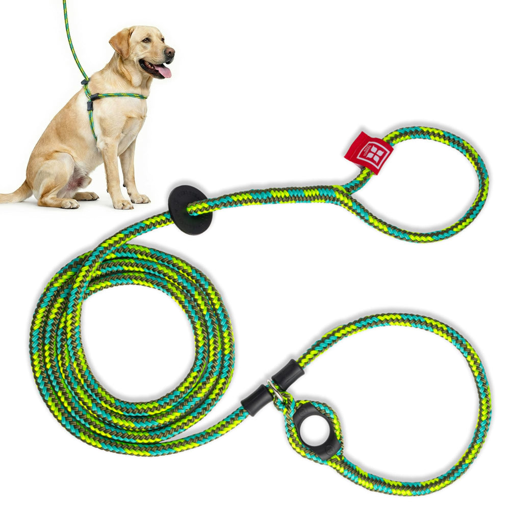 Harness Lead vue avant du harnais Rainforest offrant maintien sécurisé