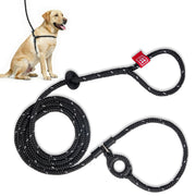 Harness Lead harnais face avant montrant coupe sécurisante et confort