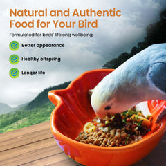 Harrison's Bird Foods contenu dans une coupelle, portion prête à servir