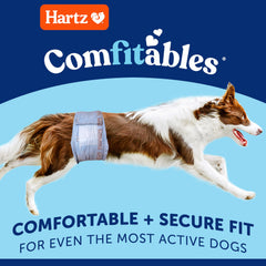 Hartz gros plan de la ceinture extensible offrant maintien confortable pendant le mouvement