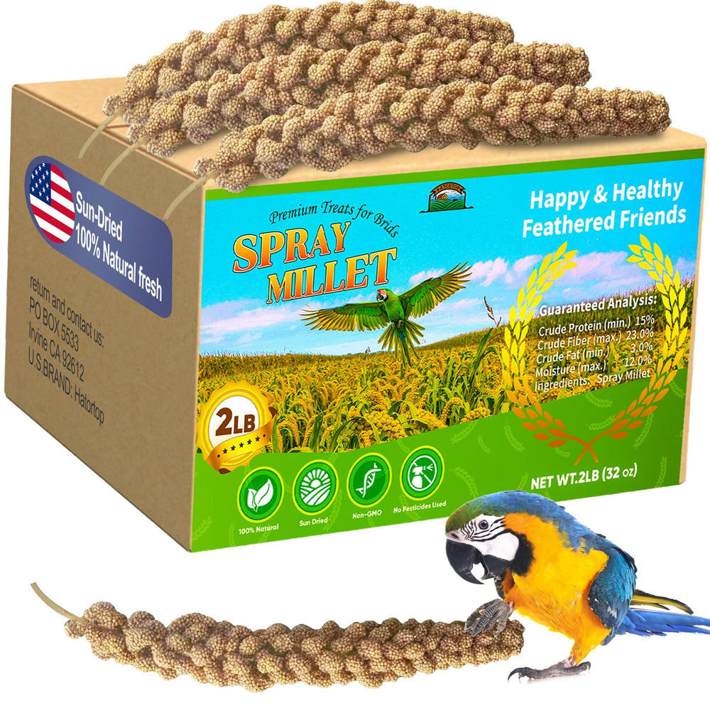 HATORTOP emballage avant du millet spray bénéfice snack naturel