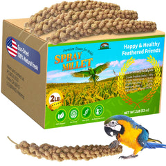 HATORTOP emballage avant du millet spray bénéfice snack naturel