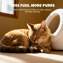 Havira gros plan flocons d'herbe à chat visibles garantissant fibres naturelles