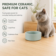 Chat mange dans gamelle Havniva montrant confort des moustaches