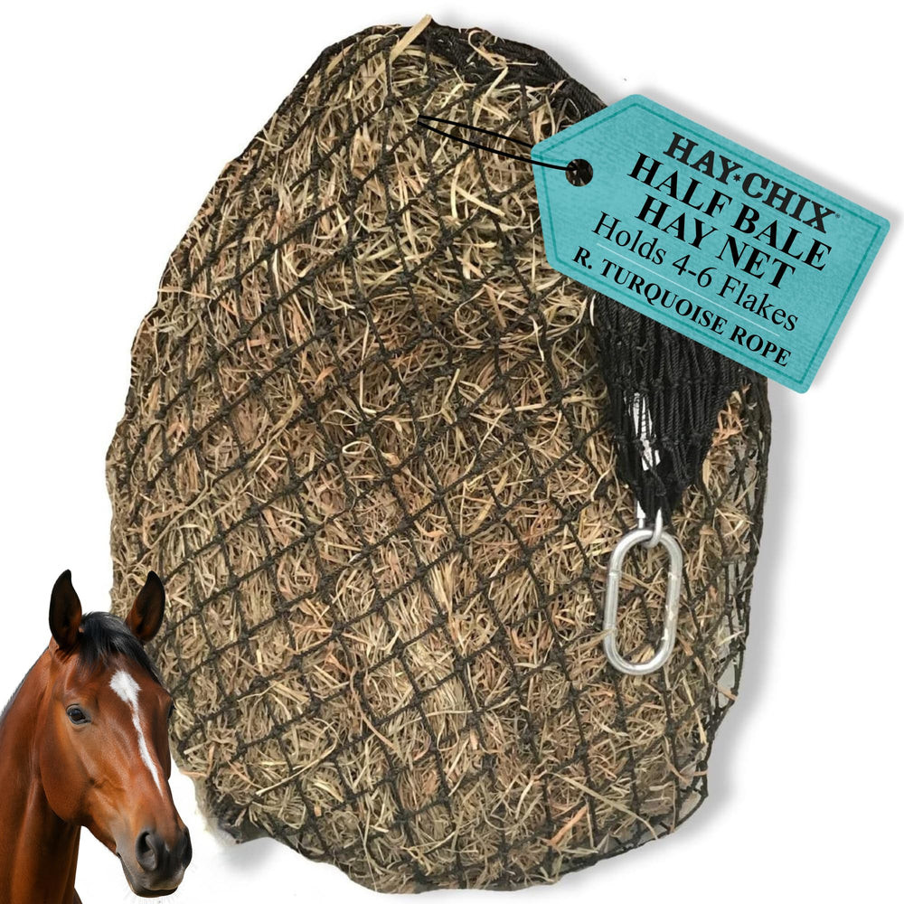 hay chix face avant montrant couleur turquoise et design pratique