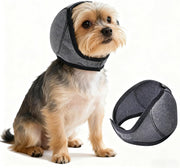 HCCW couvre-oreilles chien face avant montrant maintien et confort